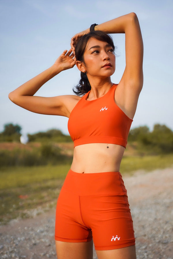 Sport Bra - high neck : Brick Burnt